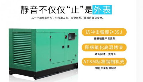 上海160kw上柴動(dòng)力自啟動(dòng)發(fā)電機(jī)組